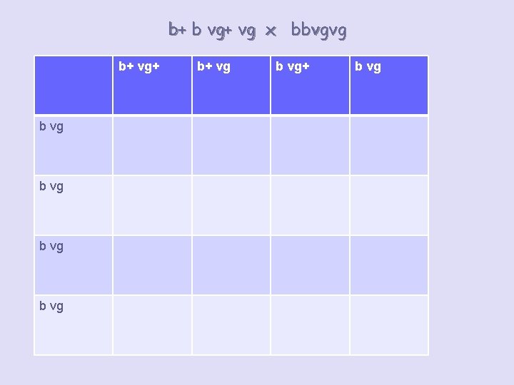 b+ b vg+ vg x bbvgvg b+ vg+ b vg b+ vg b vg+