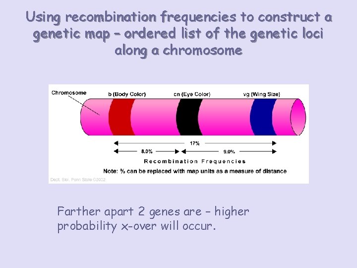 Using recombination frequencies to construct a genetic map – ordered list of the genetic