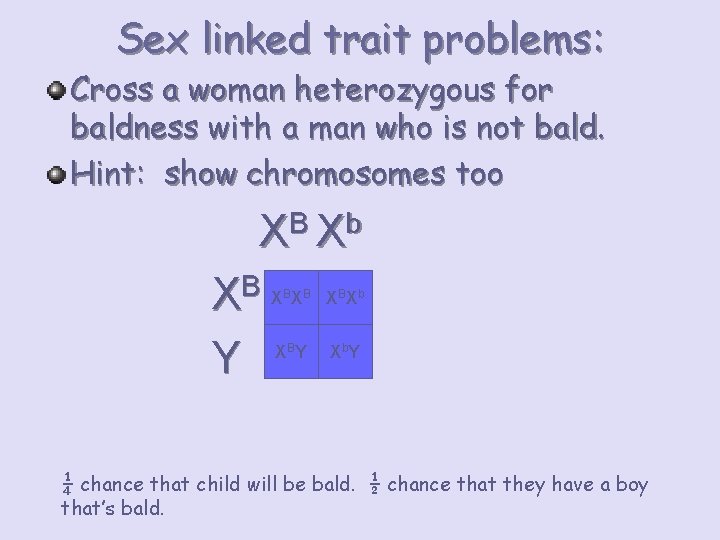 Sex linked trait problems: Cross a woman heterozygous for baldness with a man who