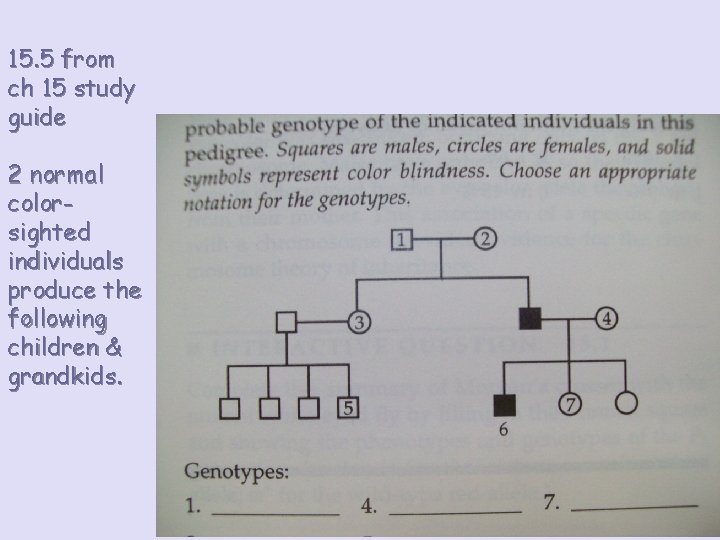 15. 5 from ch 15 study guide 2 normal colorsighted individuals produce the following