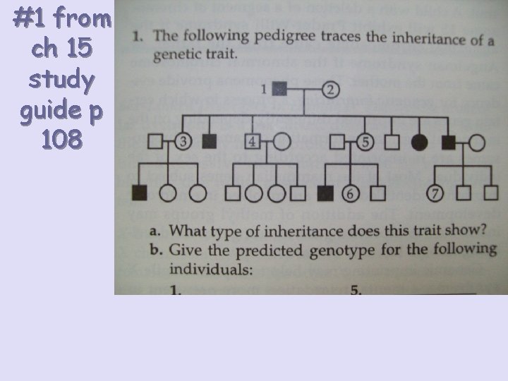 #1 from ch 15 study guide p 108 