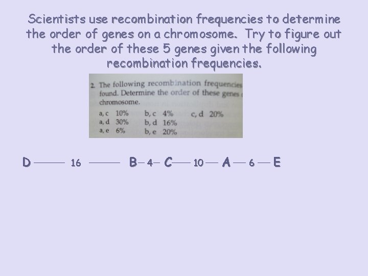 Scientists use recombination frequencies to determine the order of genes on a chromosome. Try