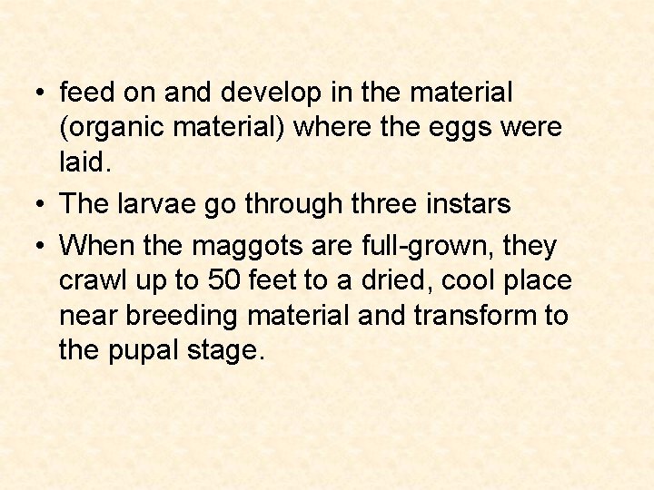  • feed on and develop in the material (organic material) where the eggs