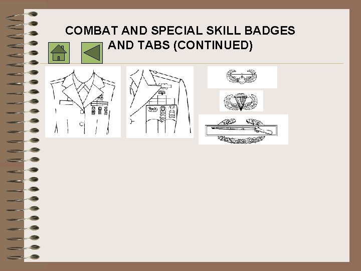 COMBAT AND SPECIAL SKILL BADGES AND TABS (CONTINUED) 