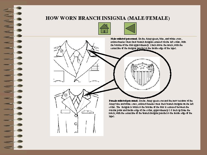 HOW WORN BRANCH INSIGNIA (MALE/FEMALE) Male enlisted personnel. On the Army green, blue, and