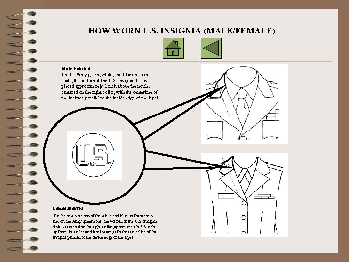 HOW WORN U. S. INSIGNIA (MALE/FEMALE) Male Enlisted On the Army green, white, and