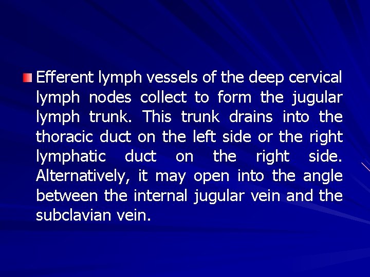 Efferent lymph vessels of the deep cervical lymph nodes collect to form the jugular