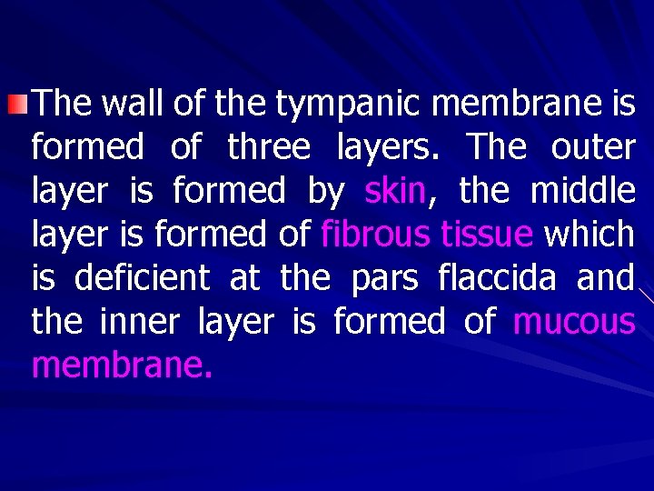 The wall of the tympanic membrane is formed of three layers. The outer layer