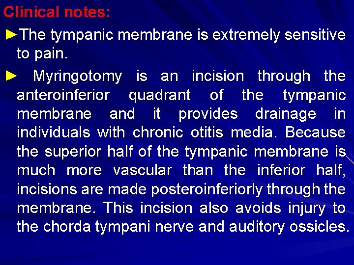 Clinical notes: ►The tympanic membrane is extremely sensitive to pain. ► Myringotomy is an