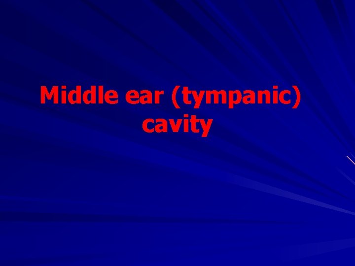 Middle ear (tympanic) cavity 