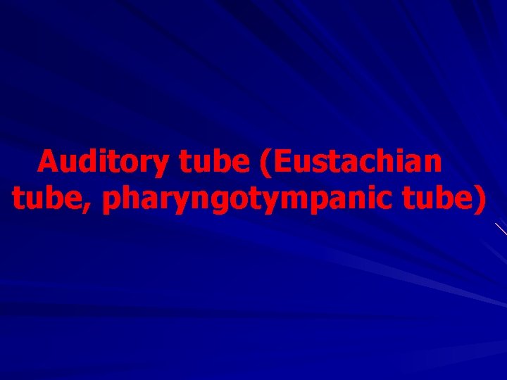 Auditory tube (Eustachian tube, pharyngotympanic tube) 