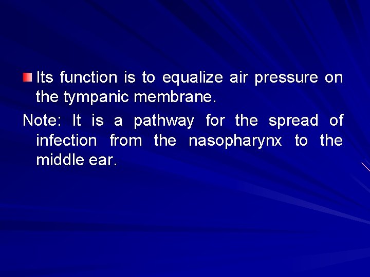 Its function is to equalize air pressure on the tympanic membrane. Note: It is