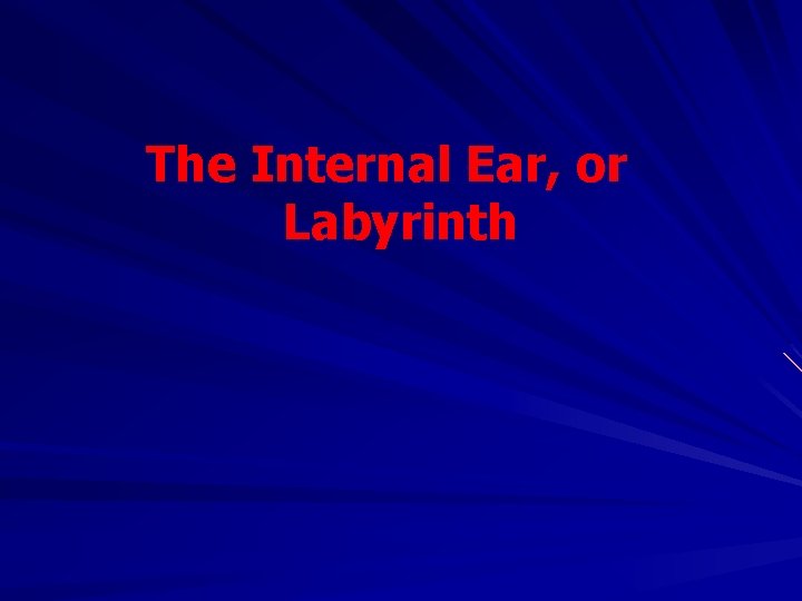 The Internal Ear, or Labyrinth 