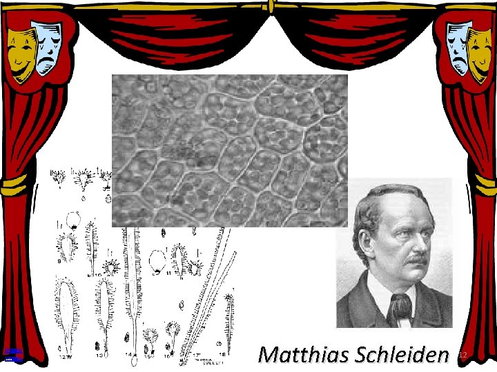 Image Matthias Schleiden 12 