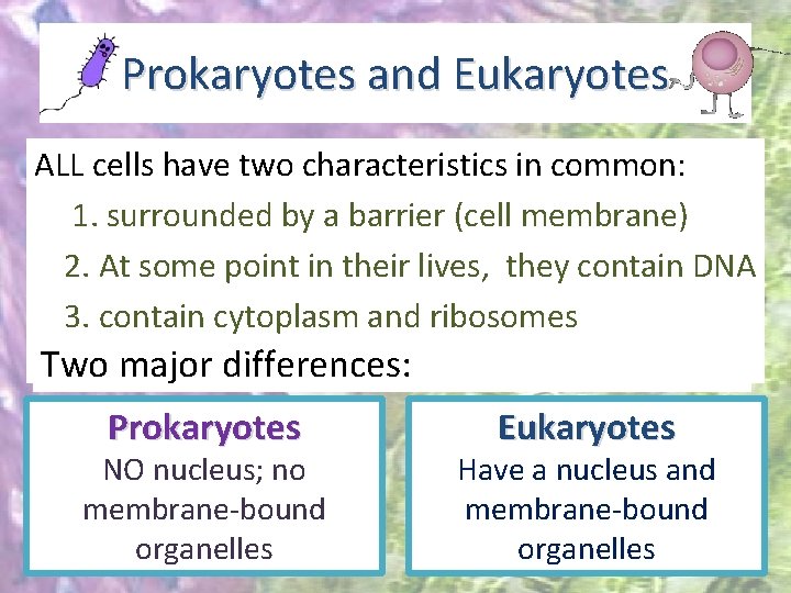 Prokaryotes and Eukaryotes ALL cells have two characteristics in common: 1. surrounded by a