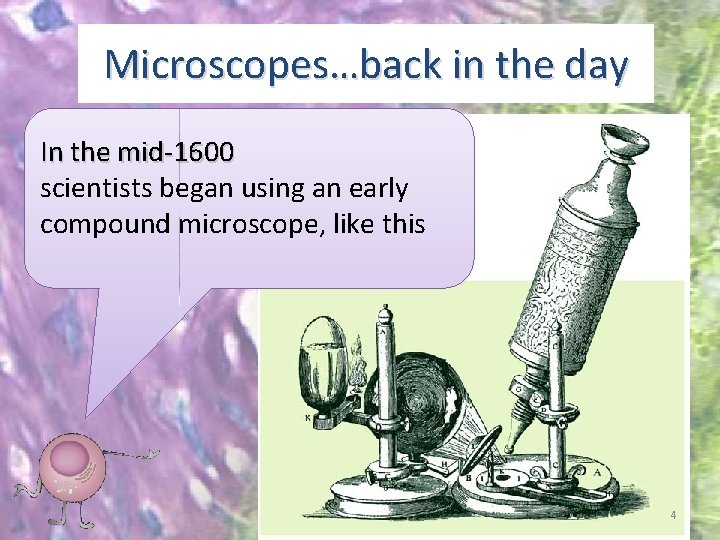 Microscopes…back in the day In the mid-1600 scientists began using an early compound microscope,