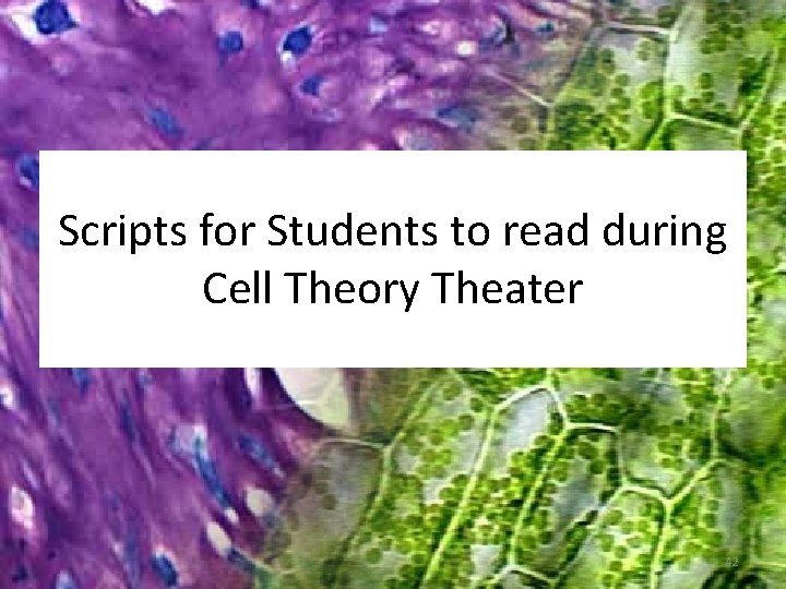 Scripts for Students to read during Cell Theory Theater 42 