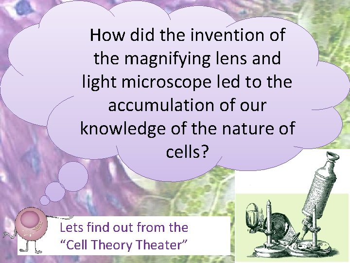 How did the invention of the magnifying lens and light microscope led to the