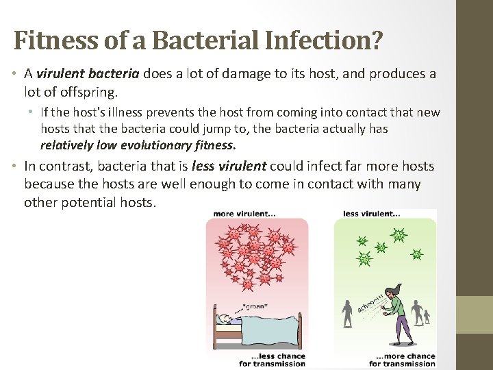 Fitness of a Bacterial Infection? • A virulent bacteria does a lot of damage