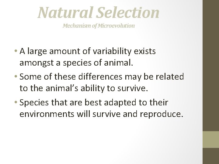 Natural Selection Mechanism of Microevolution • A large amount of variability exists amongst a