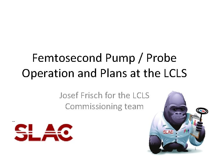 Femtosecond Pump / Probe Operation and Plans at the LCLS Josef Frisch for the