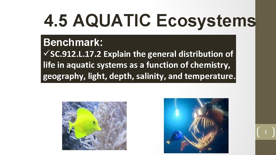 4. 5 AQUATIC Ecosystems Benchmark: üSC. 912. L. 17. 2 Explain the general distribution