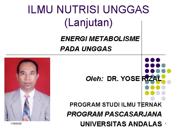 ILMU NUTRISI UNGGAS (Lanjutan) ENERGI METABOLISME PADA UNGGAS Oleh: DR. YOSE RIZAL PROGRAM STUDI