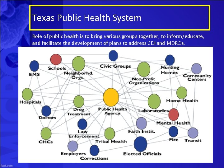 Texas Public Health System Role of public health is to bring various groups together,