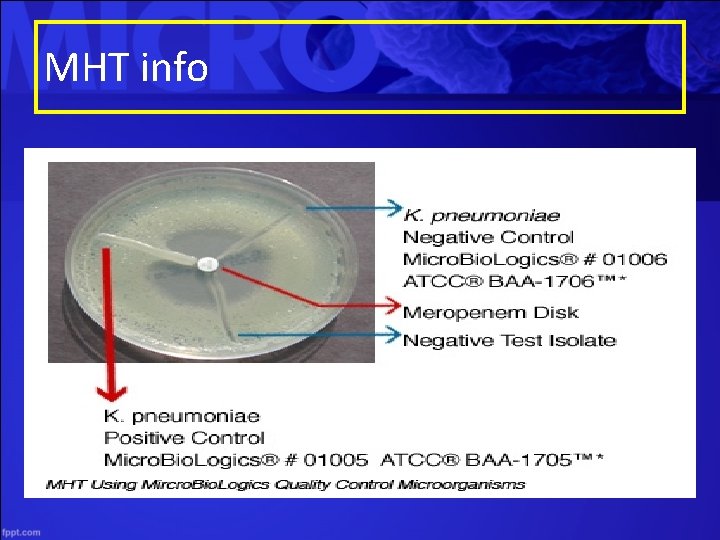 MHT info 