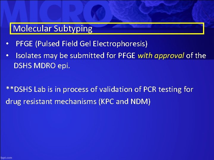 Molecular Subtyping • PFGE (Pulsed Field Gel Electrophoresis) • Isolates may be submitted for