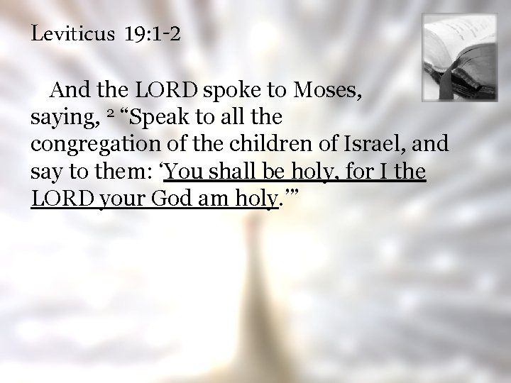 Leviticus 19: 1 -2 And the LORD spoke to Moses, saying, 2 “Speak to