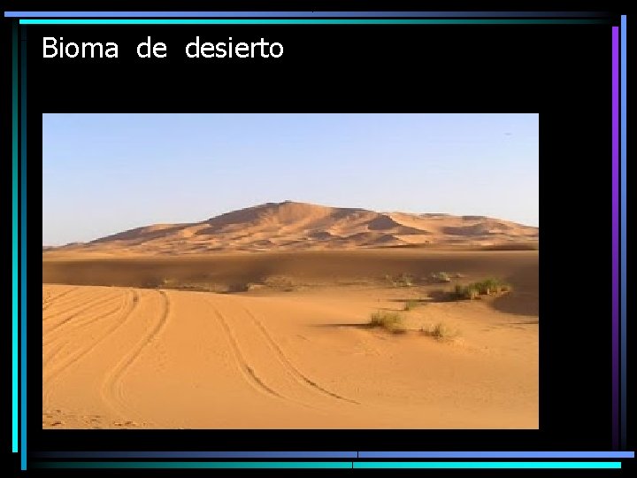 Bioma de desierto 
