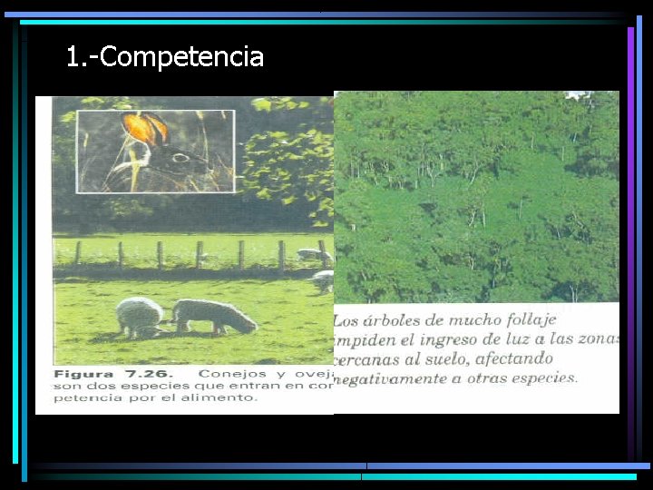 1. -Competencia 
