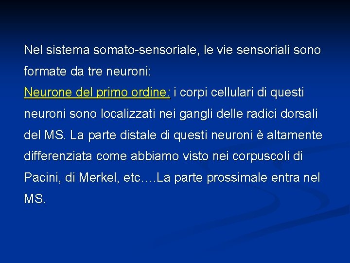 Nel sistema somato-sensoriale, le vie sensoriali sono formate da tre neuroni: Neurone del primo