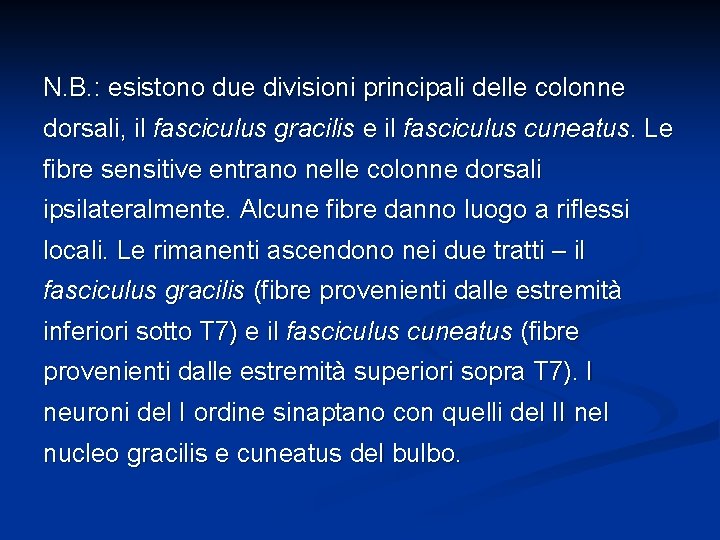 N. B. : esistono due divisioni principali delle colonne dorsali, il fasciculus gracilis e