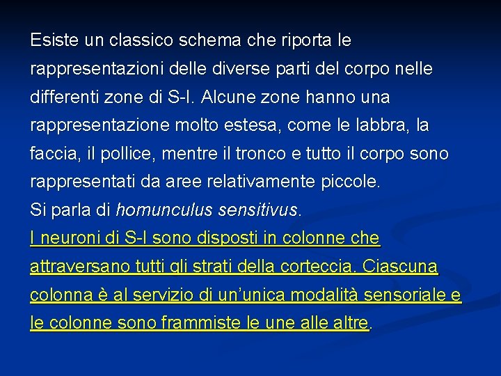 Esiste un classico schema che riporta le rappresentazioni delle diverse parti del corpo nelle