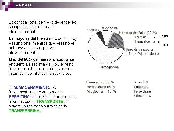 A N EM I A La cantidad total de hierro depende de: su ingesta,