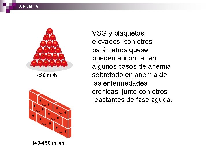 A N EM I A <20 ml/h 140 -450 mil/ml VSG y plaquetas elevados