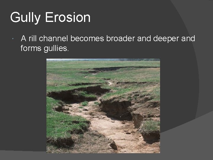 Gully Erosion A rill channel becomes broader and deeper and forms gullies. Gully Erosion A rill channel becomes broader and deeper and forms gullies.