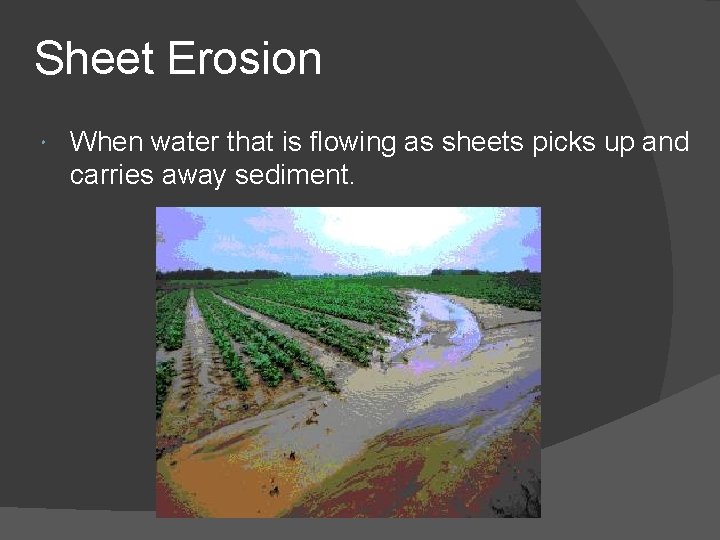 Sheet Erosion When water that is flowing as sheets picks up and carries away Sheet Erosion When water that is flowing as sheets picks up and carries away