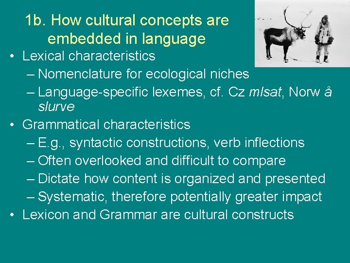 1 b. How cultural concepts are embedded in language • Lexical characteristics – Nomenclature