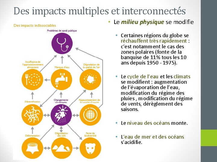 Des impacts multiples et interconnectés • Le milieu physique se modifie • Certaines régions