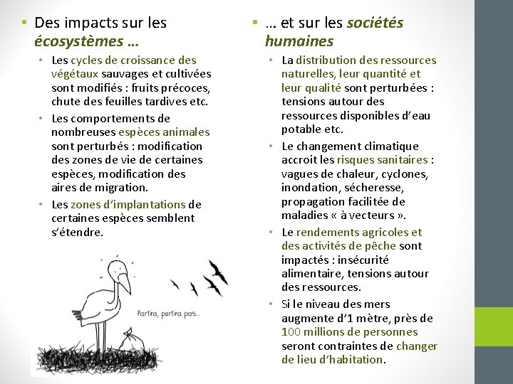  • Des impacts sur les écosystèmes … • Les cycles de croissance des