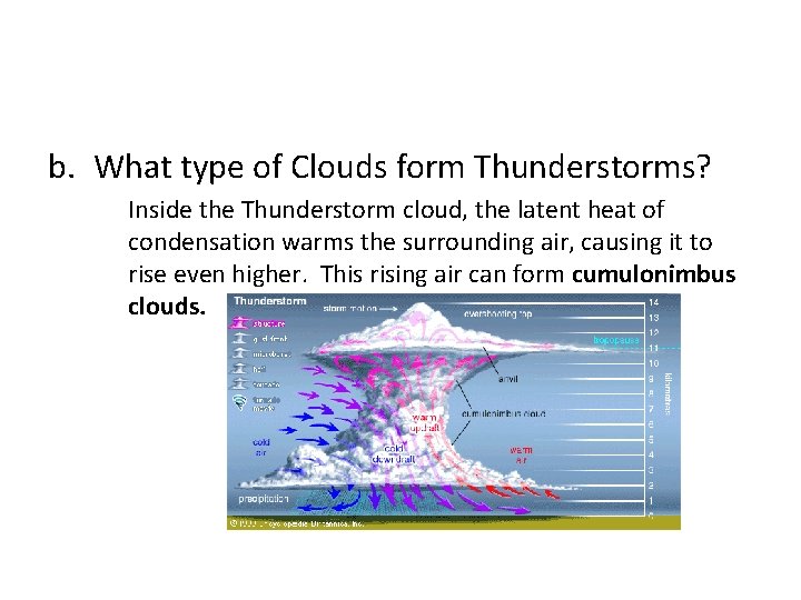 b. What type of Clouds form Thunderstorms? Inside the Thunderstorm cloud, the latent heat