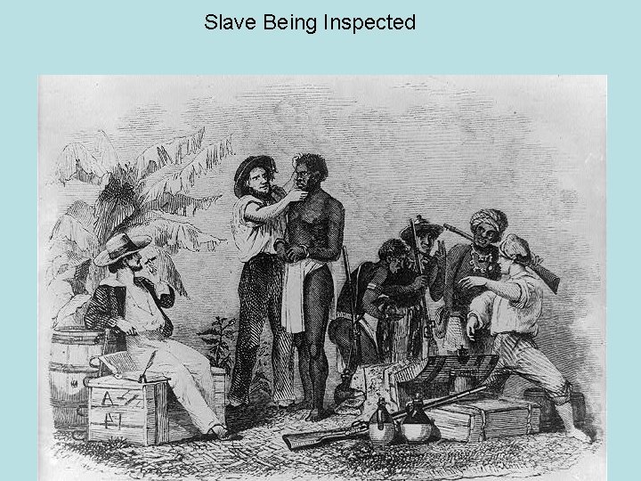 Slave Being Inspected 