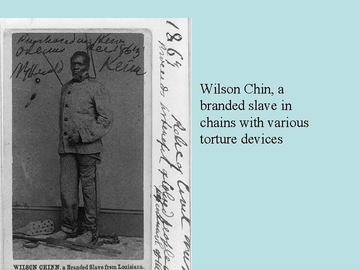  • Wilson Chin, a branded slave in chains with various torture devices 