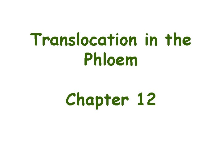 Translocation in the Phloem Chapter 12 