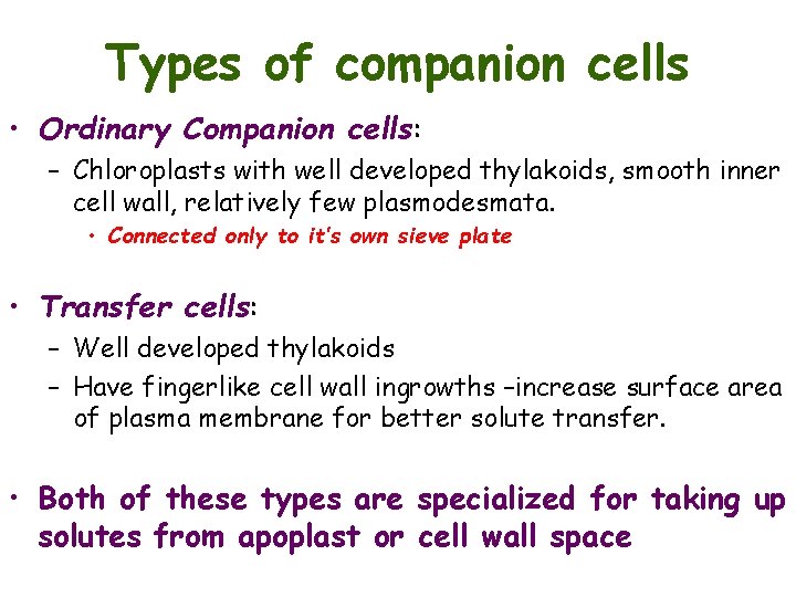 Types of companion cells • Ordinary Companion cells: – Chloroplasts with well developed thylakoids,