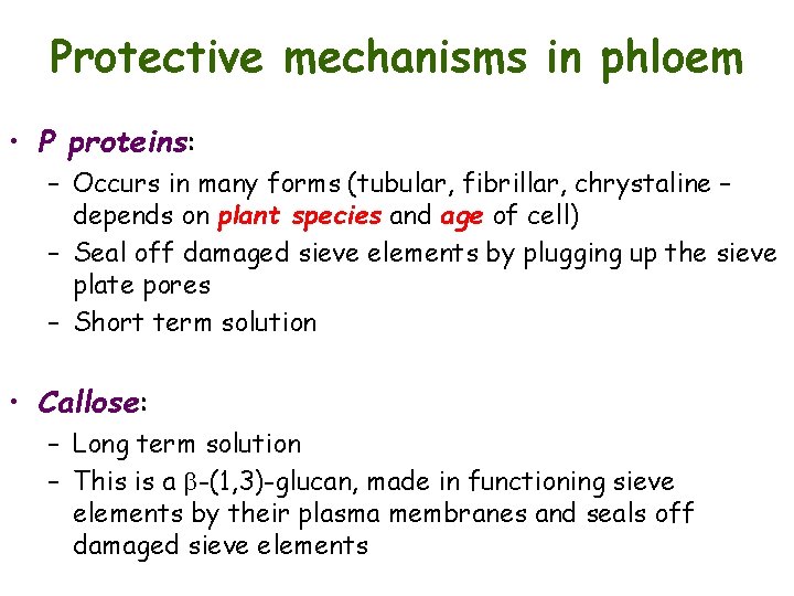 Protective mechanisms in phloem • P proteins: – Occurs in many forms (tubular, fibrillar,