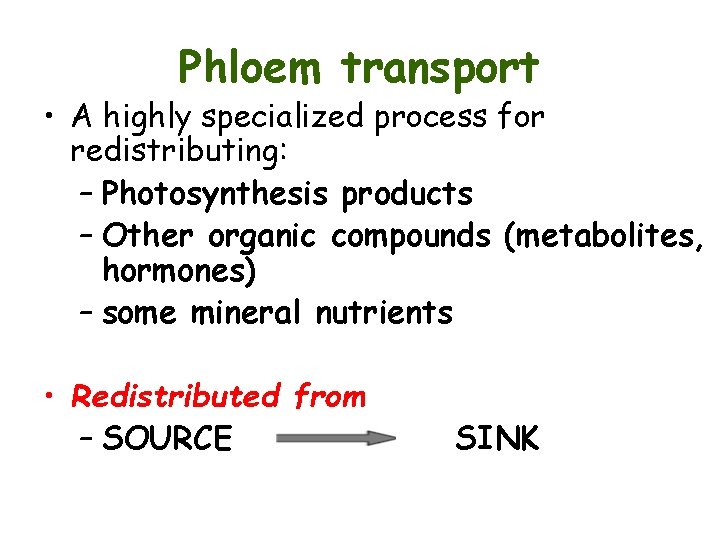 Phloem transport • A highly specialized process for redistributing: – Photosynthesis products – Other